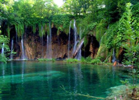 nature !