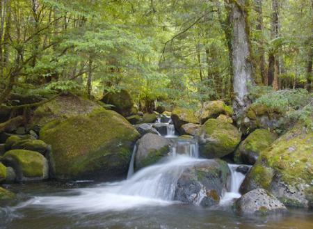nature !: